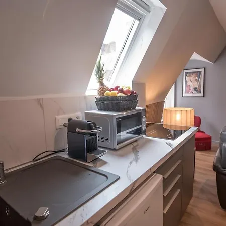 Le Nid Angevin Apartment Angers
